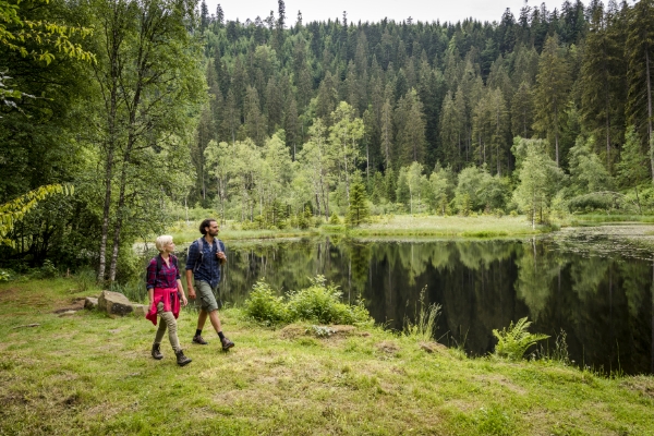シュヴァルツヴァルト